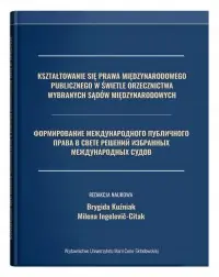 Kształtowanie się prawa międzynarodowego publicznego w świetle orzecznictwa wybranych sądów międzynarodowych Promocja