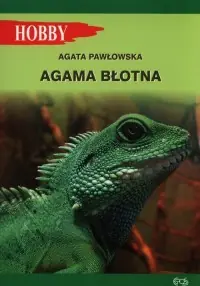 Agama błotna Obniżka ceny