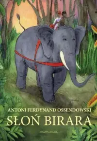 Słoń Birara Dostępne od ręki
