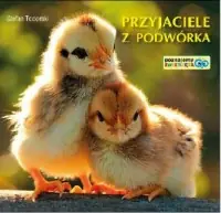 Przyjaciele z podwórka. Poznajemy zwierzęta Zamów teraz