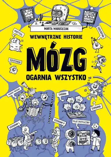 Wewnętrzne historie. Mózg ogarnia wszystko Zniżka