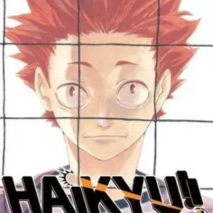 Bestseller Haikyu!!, Vol. 20