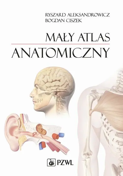 Darmowy zwrot Mały atlas anatomiczny