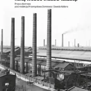 A jednak kolej Tom V Przemysł na szynach Kolej wobec industrializacji Wybór klientów