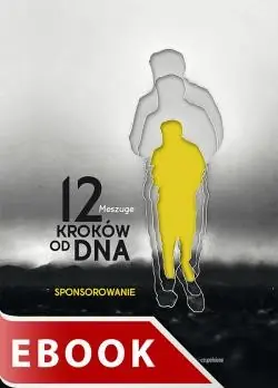 12 kroków od dna. Sponsorowanie Tani