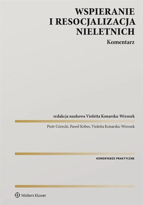 Wspieranie i resocjalizacja nieletnich. Komentarz Hit cenowy