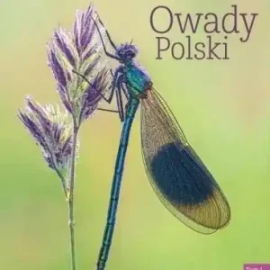 Tylko do końca tygodnia Owady Polski T.1