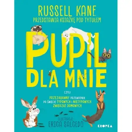 Pupil dla mnie. czyli przezabawny przewodnik po... - Russel Kane Niska cena