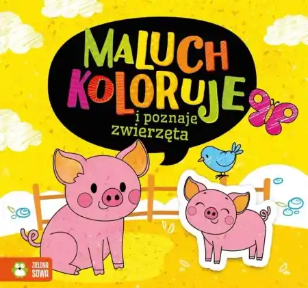 Maluch koloruje i poznaje zwierzęta - Natalia Berlik Hit sprzedaży